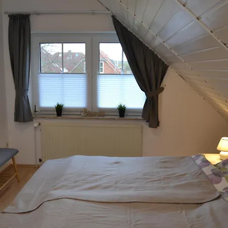 Seerobbe * 多努姆