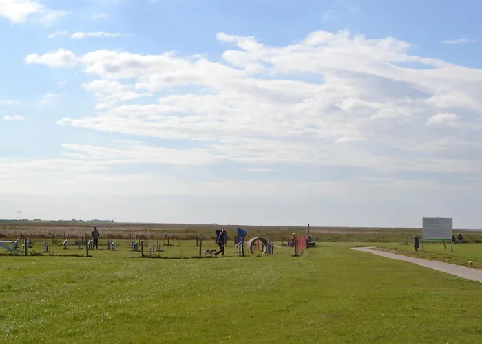 Seerobbe Holiday home