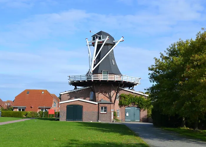 Seerobbe Holiday home *